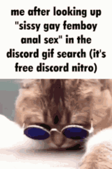 Discord Nitro Trolled GIF