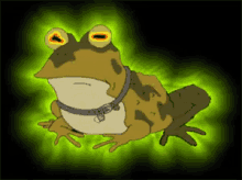 Ranita Hipnotizante GIF - Frog Glowing Glow Inthe Dark GIFs