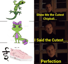 Chipkali Lizard GIF