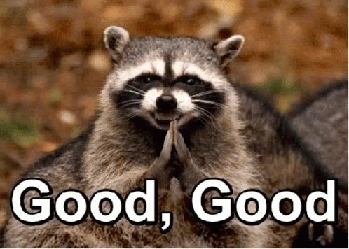 A raccoon Gif, "good, good".