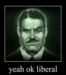 Yeah Ok Liberal GIF - Yeah Ok Liberal GIFs