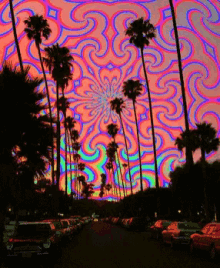 California Trippy GIF