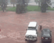 Rip Yeet GIF - Rip Yeet Flood GIFs