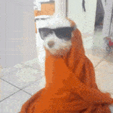 a small white dog wearing sunglasses and an orange blanket