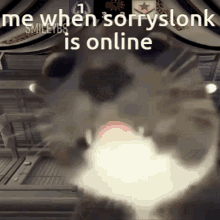 a picture of a cat with the words me when sorryslonk is online