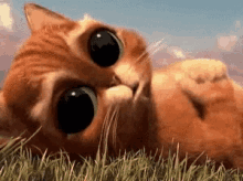 Puss In Boots Cute GIF - Puss In Boots Cute Cat GIFs