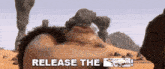 a man is laying down in the desert with the words release the written below him