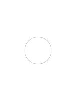 a circle on a white background with a gray outline