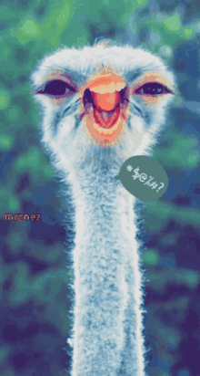 a picture of an ostrich with a speech bubble that says * $ @ ! # ?