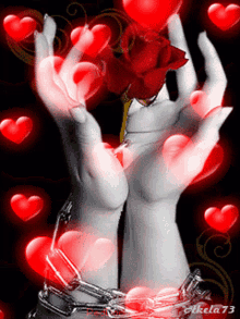 Ahmed Elnagar Roses GIF - Ahmed Elnagar Roses Hearts GIFs