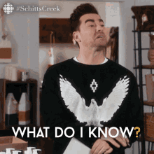 What Do I Know Dan Levy GIF