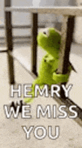 a kermit the frog is sitting under a table and says `` henry we miss you '' .