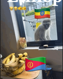 a monkey looking out a window next to a basket of bananas and a ethiopian flag