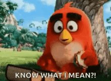 Angry Birds Wink GIF - Angry Birds Wink Eat GIFs