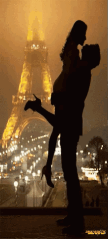 Paris Hug GIF