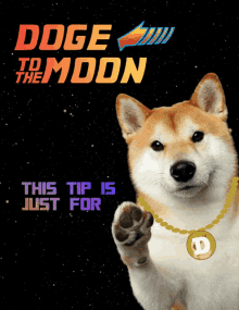 Dogetip Dogecointip GIF - Dogetip Dogecointip Doge GIFs