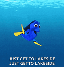 Dory Finding GIF - Dory Finding GIFs