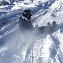 Crash Ski GIF - Crash Ski Snow Day GIFs