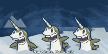 Narwhals Ocean GIF