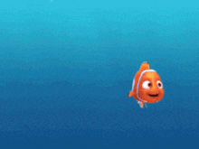 a clown fish is swimming in the ocean alone