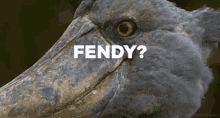 Fendy Bird Staring GIF - Fendy Bird Staring Rain GIFs