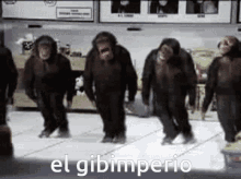 Gibimperio El Gibimperio GIF - Gibimperio El Gibimperio Givy GIFs