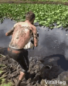 dive viralhog mud jump into diving