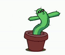 Cactus Follow GIF