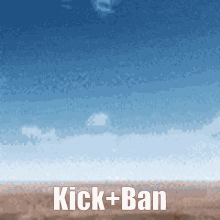 Kick Plus Ban Kick Ban GIF