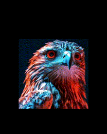 a picture of an eagle with the words hakandan merhaba