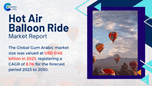 Hot Air Balloon Ride Market Report 2024 GIF