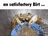 Satisfactory Crab GIF - Satisfactory Crab Birt GIFs