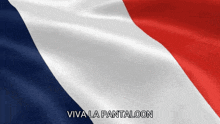 a red white and blue flag with viva la pantaloon written on it