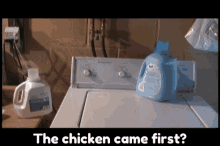The Chicken Came First The Chicken Or The Egg GIF - The Chicken Came First The Chicken Or The Egg Sbs GIFs