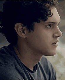 a close up of a man 's face with curly hair wearing a gray shirt .