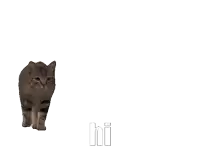 a close up of a cat 's face with the word hi visible