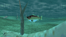 Zelda Ocarina Of Time GIF - Zelda Ocarina Of Time Fish GIFs
