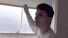 Dan Daniel GIF