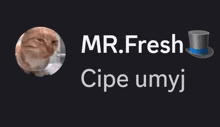 a cat is sitting in a circle next to a top hat and the name mr. fresh .