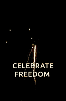 Celebrate Freedom Fireworks GIF - Celebrate Freedom Fireworks 4th Of July GIFs