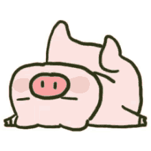 legs pig