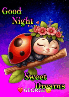a ladybug with flowers on its head is sleeping on a branch and says good night sweet dreams