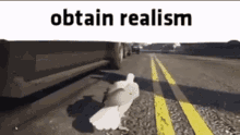 Obtain Realism Real GIF