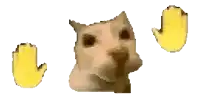 a close up of a cat 's face and two yellow hands