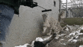 two snow leopards are being brushed by a person with a broom