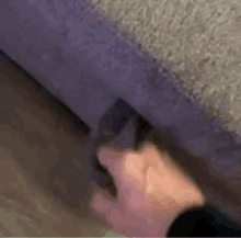 Hiding Couch GIF - Hiding Couch Surprise GIFs