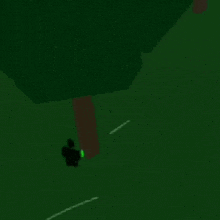 a person in a video game is standing in the grass .