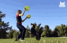 tricks skills flip frisbee jump