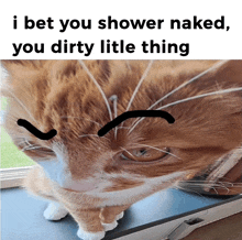 a picture of a cat with a caption that says " i bet you shower naked "