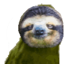 sloth dance wiggle groovy cute